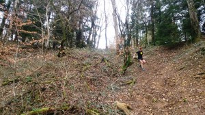 03-04-15 Perrigny (3)