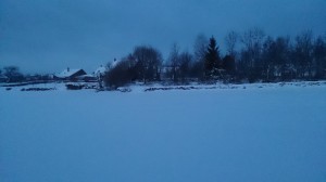 04-02-15 baumeneige (10)