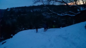 04-02-15 baumeneige (12)