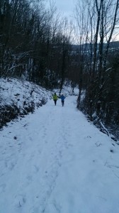 04-02-15 baumeneige (5)