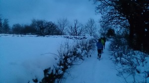 04-02-15 baumeneige (9)