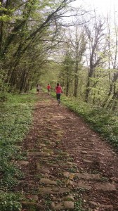 09-04-14 Chateau-Chalon (3)