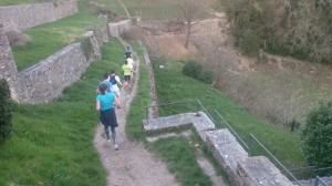 09-04-15 voiteur (18) 