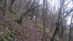 13-03-15 autourvoieverte (2)