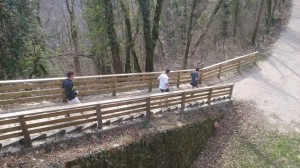 13-03-15 autourvoieverte (4)