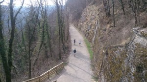 13-03-15 autourvoieverte (5)