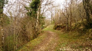 28-03-15 StLaurent (2) 