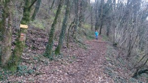 28-11-14 hermitage (14)