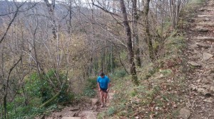 28-11-14 hermitage (5)