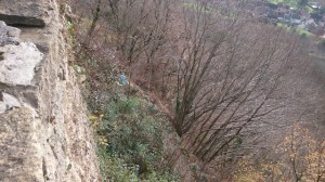 28-11-14 hermitage (7)