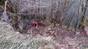 29-03-14 Baume (10)