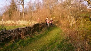 29-03-14 Baume (2)