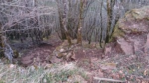 29-03-14 Baume (9)