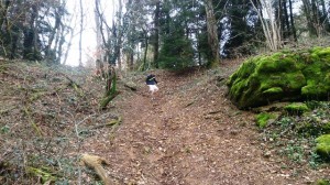 03-04-15 Perrigny (5)