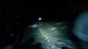 04-02-15 baumeneige (15)