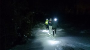 04-02-15 baumeneige (16)