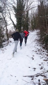 04-02-15 baumeneige (3)