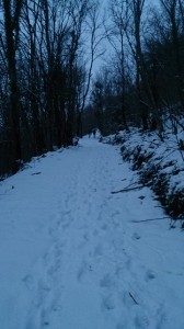 04-02-15 baumeneige (6)