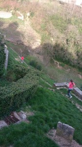 09-04-14 Chateau-Chalon (6)