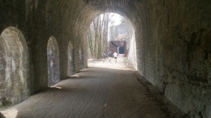 13-03-15 autourvoieverte (7)