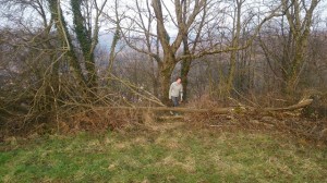 18-02-15 vaux (10)
