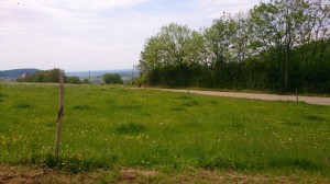 20-05-14 Salins (19)