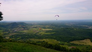 20-05-14 Salins (31)