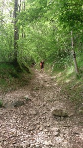 20-05-14 Salins (44)