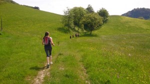 20-05-14 Salins (58)