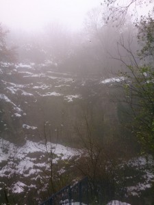 23-11-13 Baume (11)