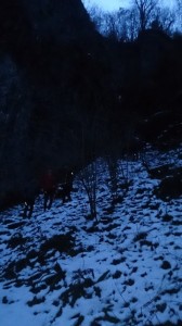 28-01-15 baumenuit (4)