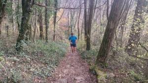 28-11-14 hermitage (1)